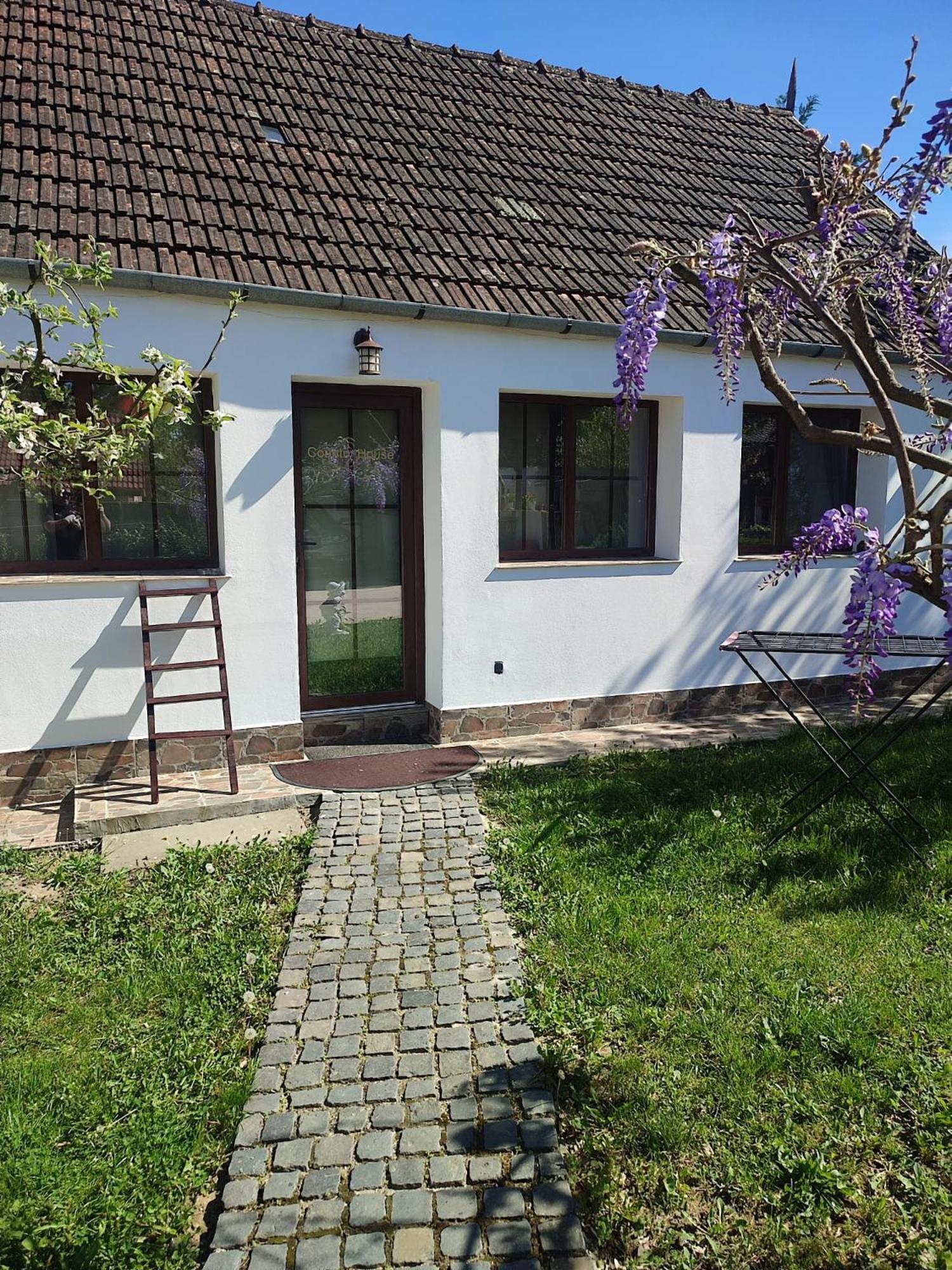 Courtyard Studio Nagyvárad Kültér fotó